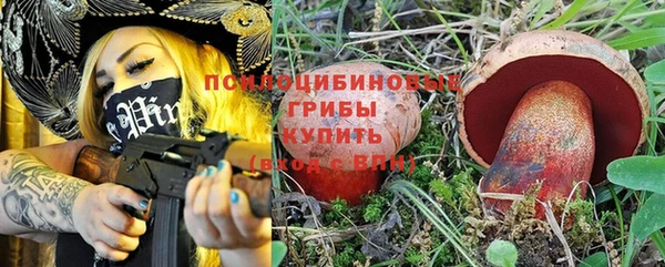 МДПВ Саяногорск