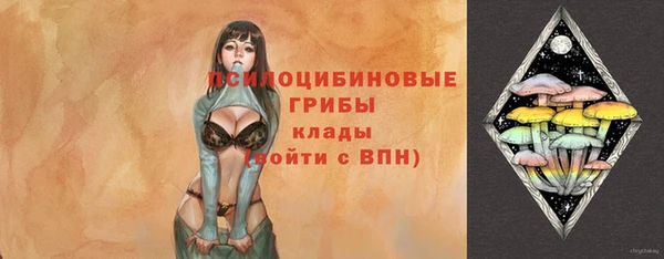 МДПВ Саяногорск