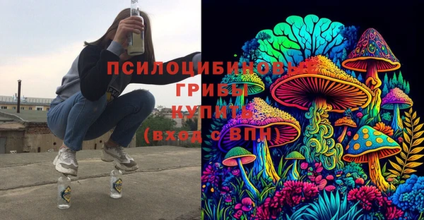 МДПВ Саяногорск