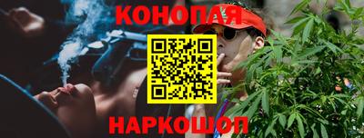 шишки Бийск