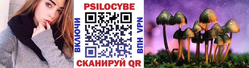 купить Шали Галлюциногенные грибы Psilocybine cubensis
