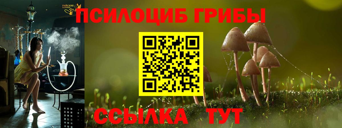 Галлюциногенные грибы GOLDEN TEACHER  Шали 