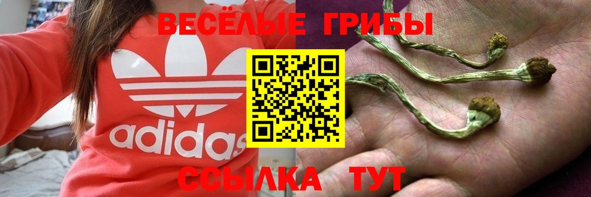 Шали  Галлюциногенные грибы мицелий  Вход с VPN  Галлюциногенные грибы ЛСД 